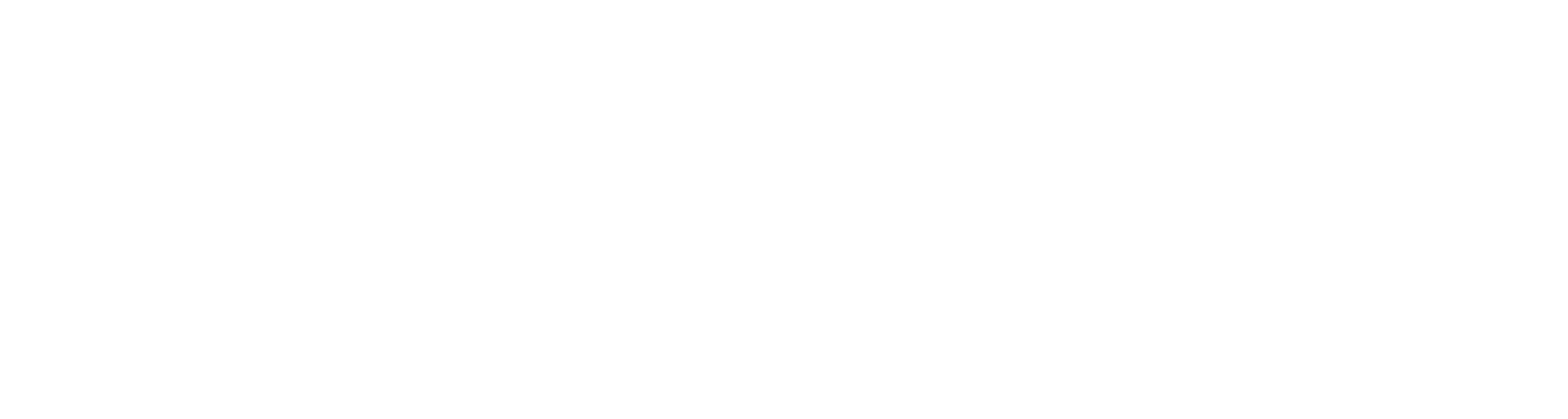 RSN – Réseau santé numérique