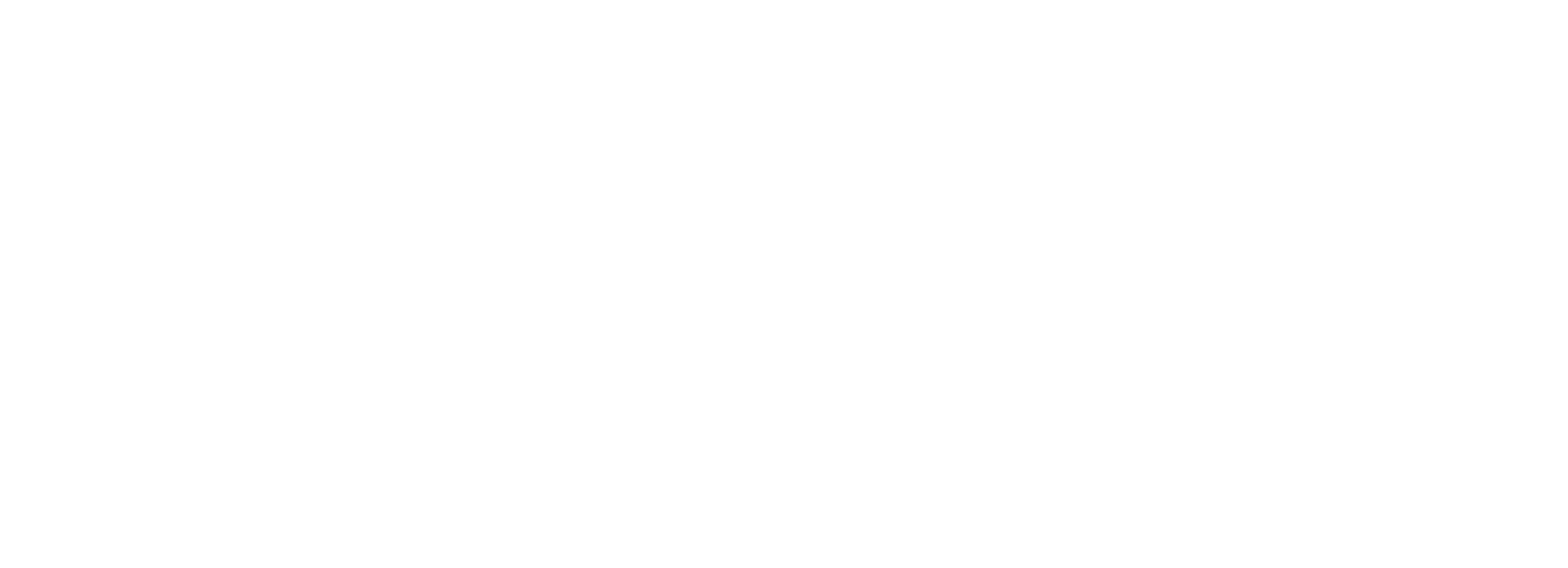 Logo du Réseau santé numérique